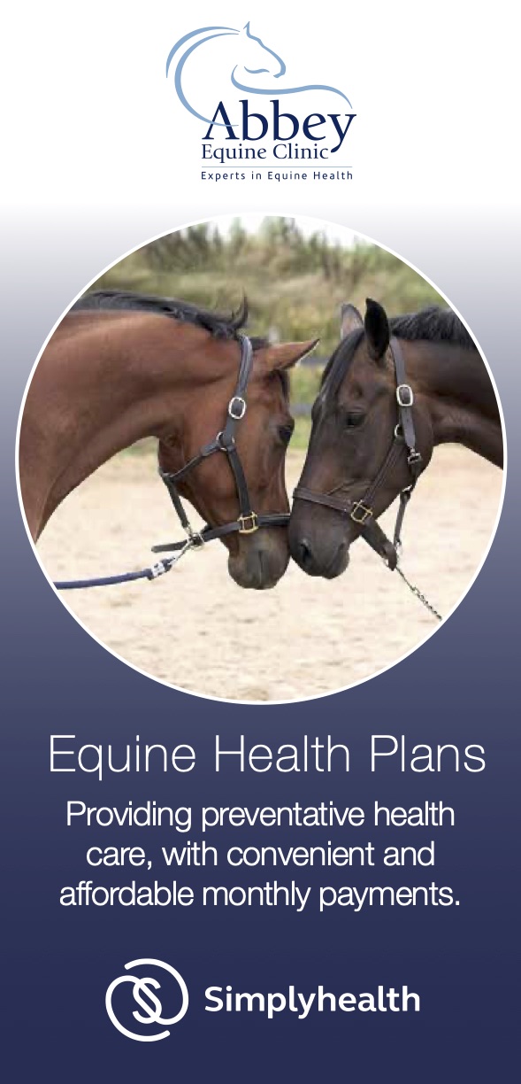 Abbey Equine Centre Experts In Equine Health